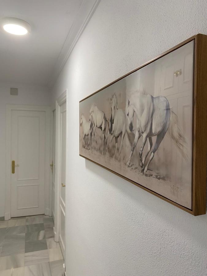 Apartamento Centrico “Los Pajaritos” Con Garaje. Jerez de la Frontera Exteriér fotografie